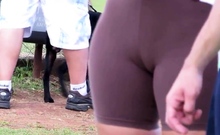 SDRUWS2 - TWO BIG CAMELTOES IN PUBLIC PARK