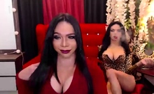 Hot Shemale Duo Mouth Fucking Action